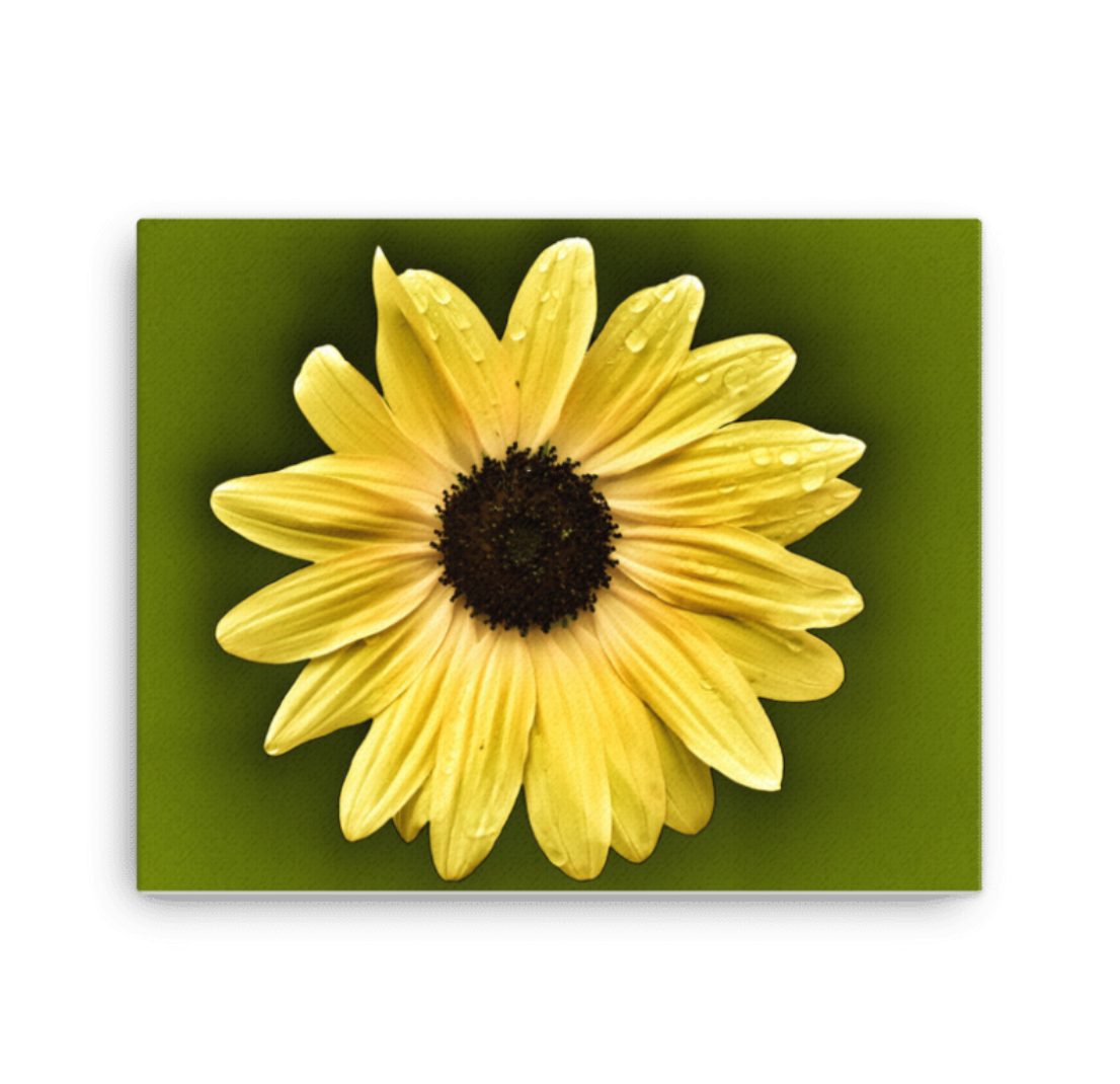 Kenneth Rosenthal | Digital Photo Flowers | Canvas #003